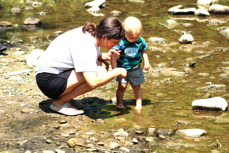 Visiting Beaver Creek State Park News, Sports, Jobs Salem News